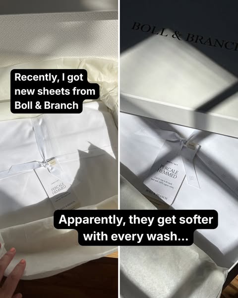 Testing the Bold Claims of Boll & Branch